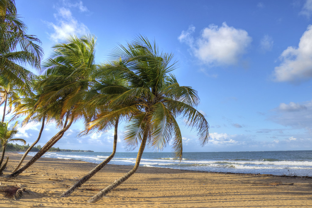 ¿Cuáles son los días feriados en Puerto Rico? 2023 – 2024